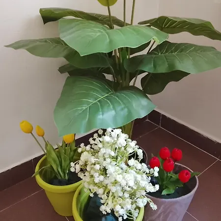 Sammarco Apartmán *