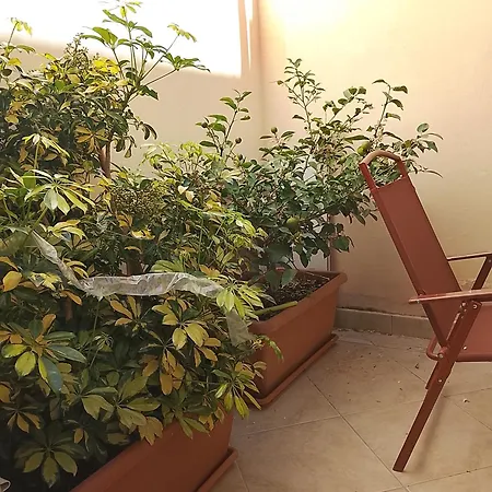 Sammarco